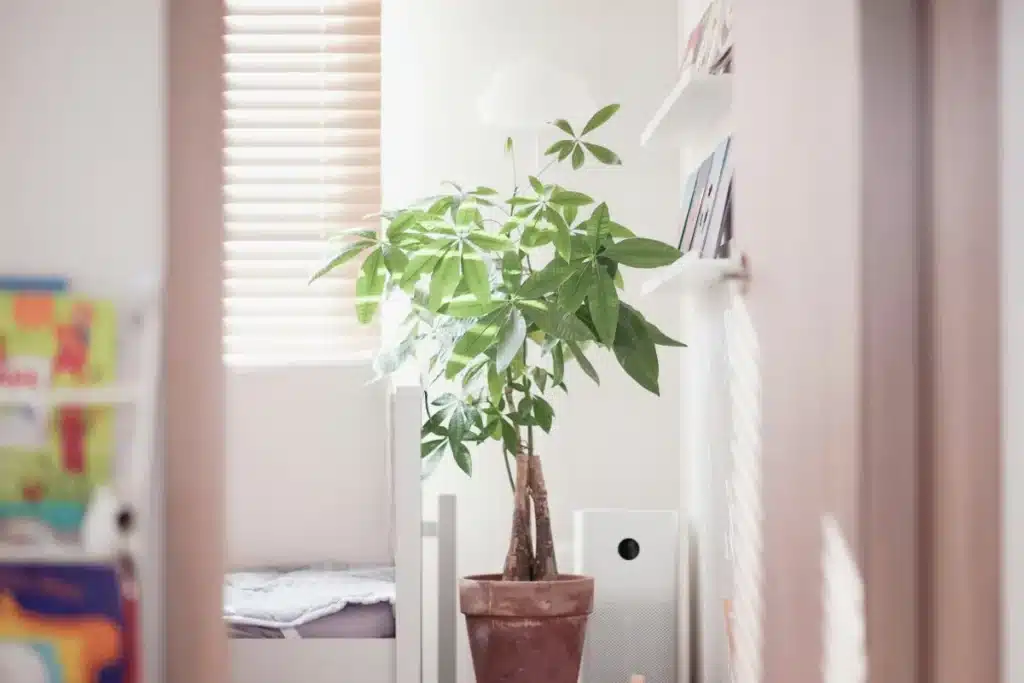 Best non-toxic air purifier for home use